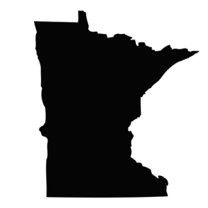 Understanding MN SOS Business Search