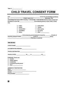 Why You Need a Minor Travel Consent Form